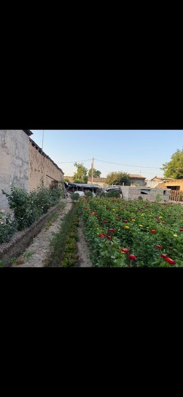 Quruq Yer Sotiladi Quruq Yer Sotiladi