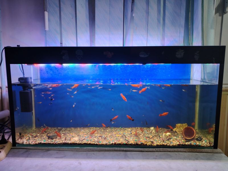 Akvarium 150Litr Komplekt