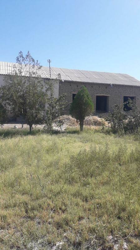 Hovli. sotiladi konimexdan