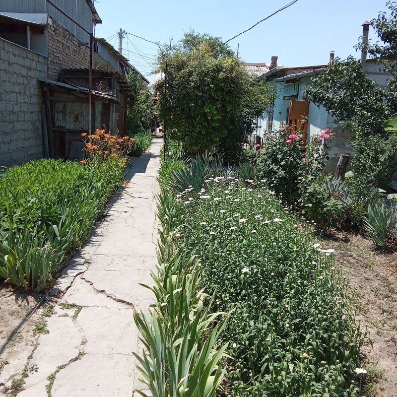 Срочно продаётся участок 3,8 сот 3 дома Мирабадский район ул Кизыларва Срочно продаётся участок 3,8 сот 3 дома Мирабадский район ул Кизыларва