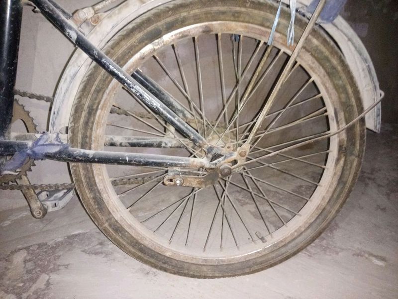 velosiped