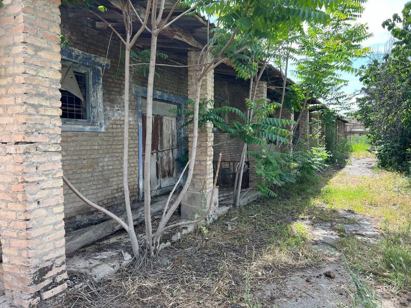 Manzil: Kitob tumani Asosiy Shifoxonasini ro'parasida Manzil: Kitob tumani Asosiy Shifoxonasini ro'parasida