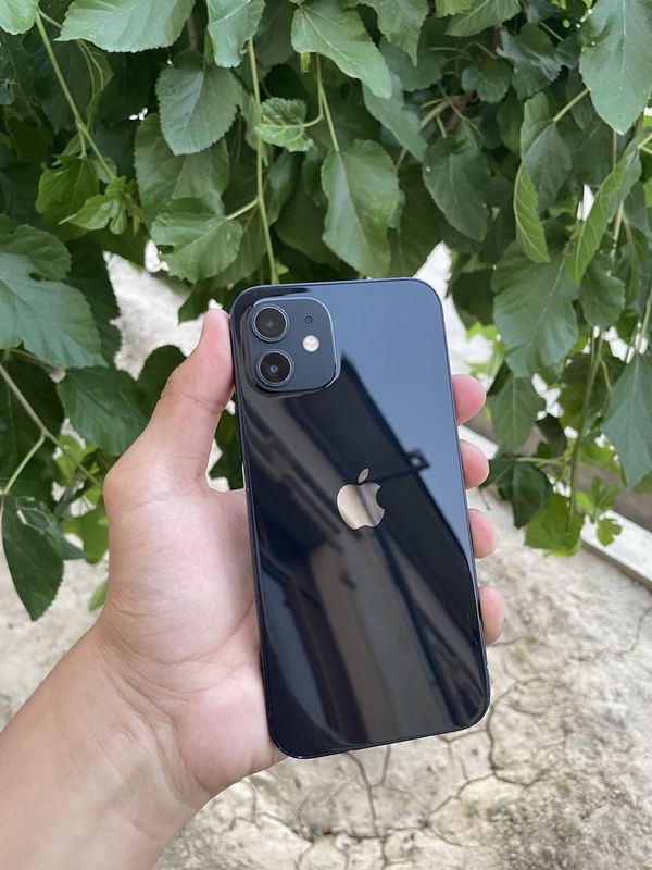 iPhone 12 iPhone 12