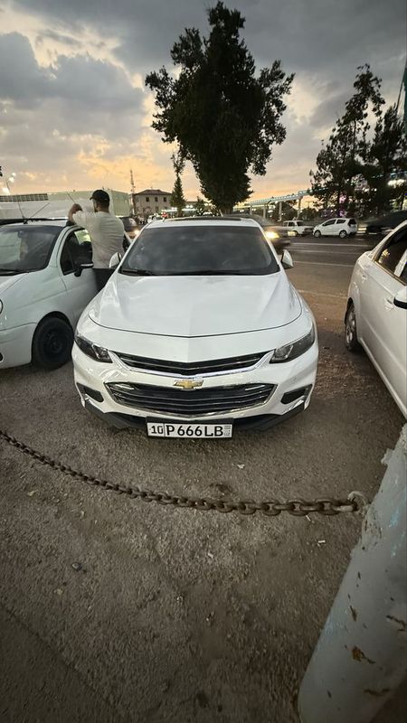 sotladi malibu 2
