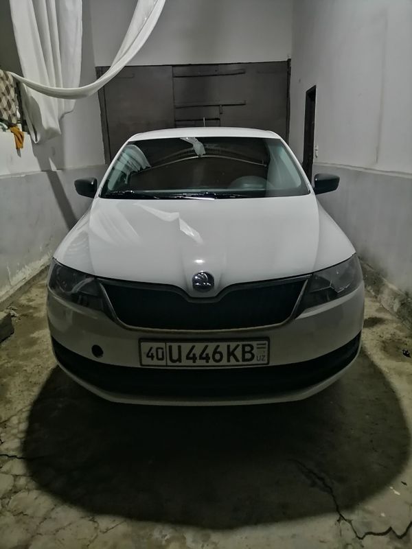 Skoda Rapid 2017 Skoda Rapid 2017