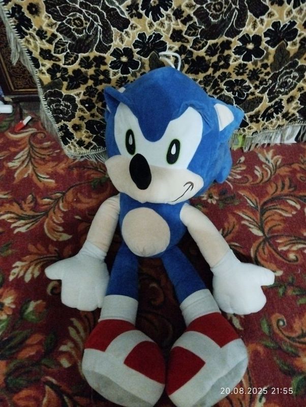 Sonik õyinchoği aybi yõq Sonik õyinchoği aybi yõq