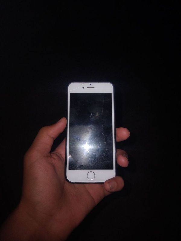 IPhone 6 zapchast
