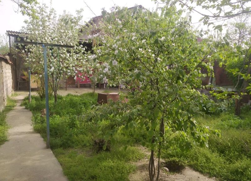 срочно продается участок на Рисовом 3,67 сотки 3 к срочно продается участок на Рисовом 3,67 сотки 3 к