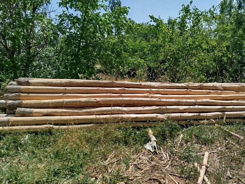Terak tosin va strapilolar sotiladi 6.5metrdan kesilgan Terak tosin va strapilolar sotiladi 6.5metrdan kesilgan