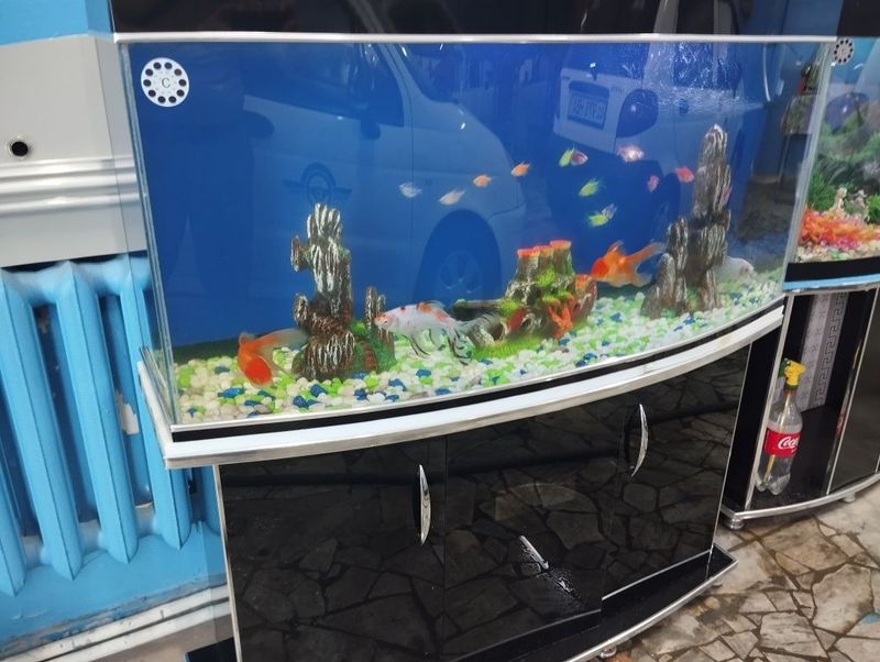 АКВАРИУМ, Akvarium АКВАРИУМ, Akvarium