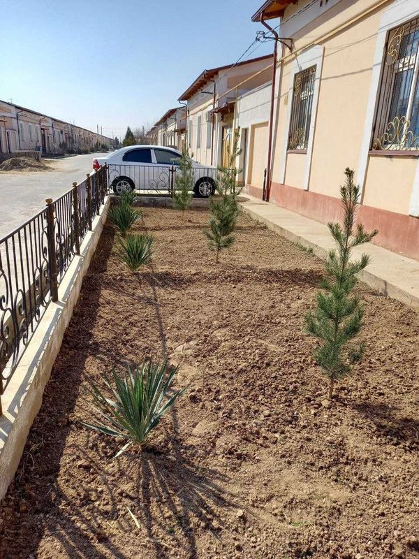 Qarshi tumani Batosh 6- sotixli kotedj sotiladi!!!