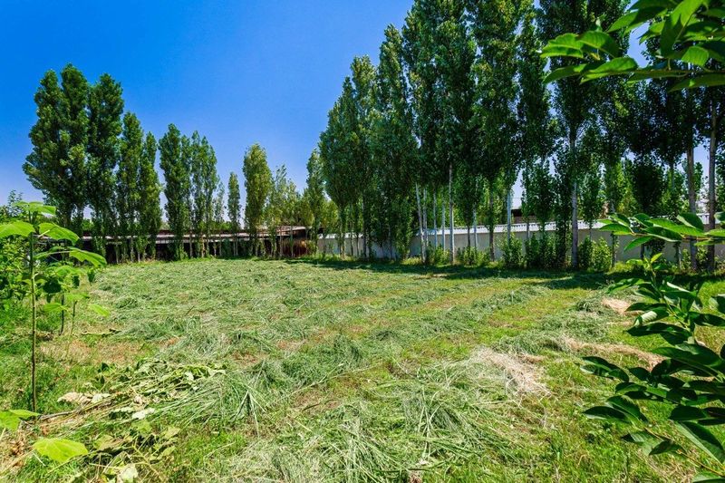 Продаётся участок 72 сотки, Пскент Продаётся участок 72 сотки, Пскент