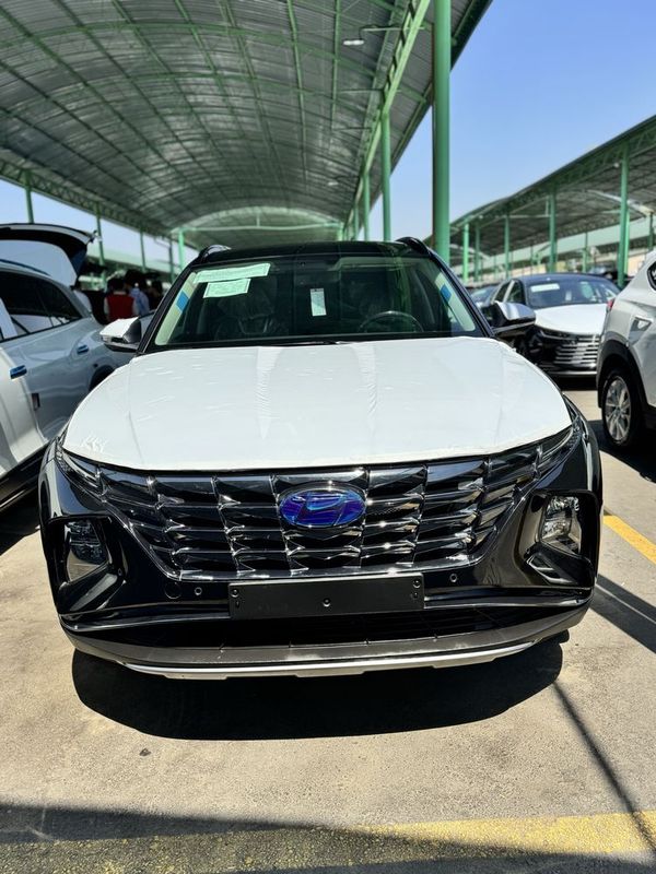 Hyundai Tucson 2l Full