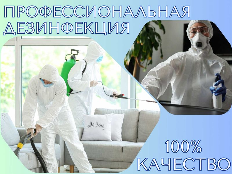 Дезинфекция клопов дезинфекция от клопов dezinfeksiya klapa klopa Дезинфекция клопов дезинфекция от клопов dezinfeksiya klapa klopa