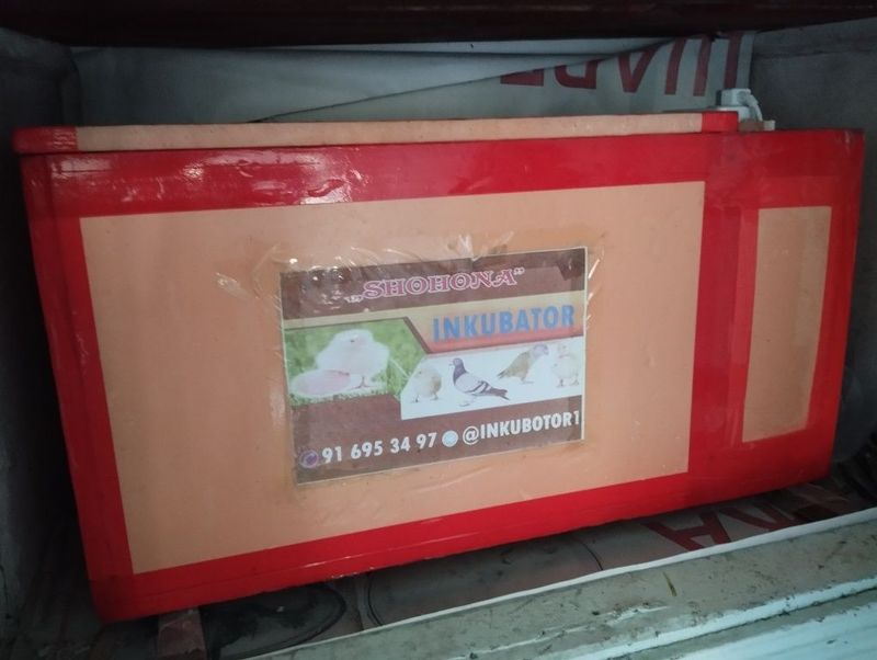 Inkubator bedana tuhumi uchun Inkubator bedana tuhumi uchun