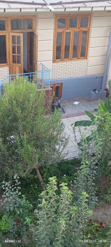 Hovliga talaba qizlarni ijaraga qo'yamiz