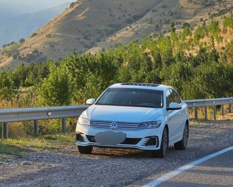 Volkswagen E-Bora PRO