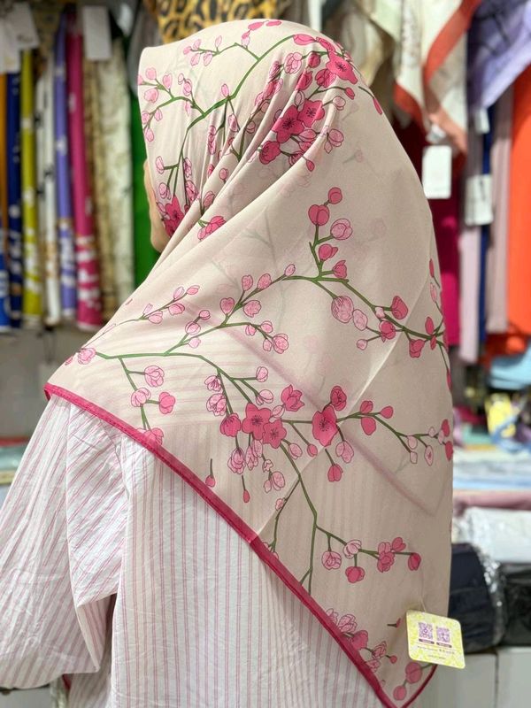 yangi sakura rumollar