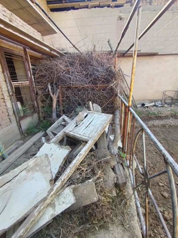 O’tin, utin, дрова O’tin, utin, дрова