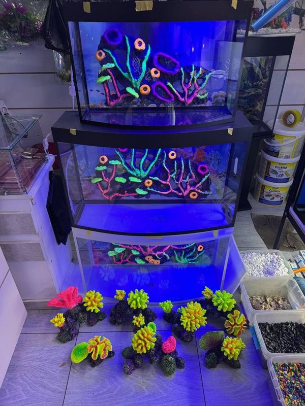 Akvarium oldi aval Akvarium oldi aval