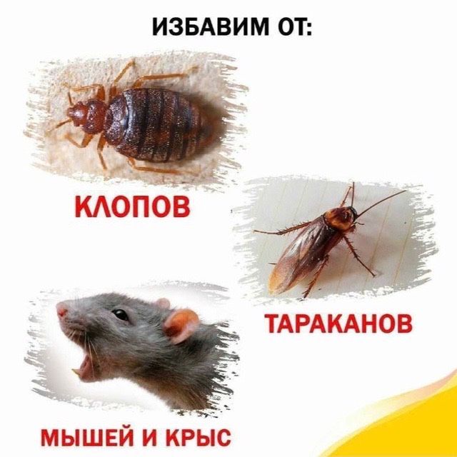 10% СКИДКА Дезенфекция дизенфекция дезинфекция дизинфекция dizinfeksiy 10% СКИДКА Дезенфекция дизенфекция дезинфекция дизинфекция dizinfeksiy