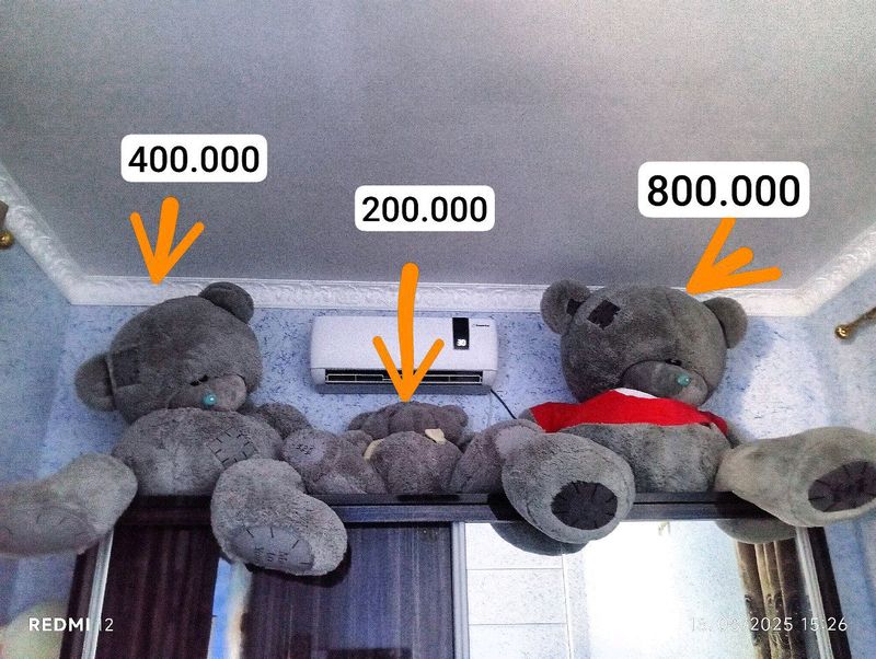 teddy teddy