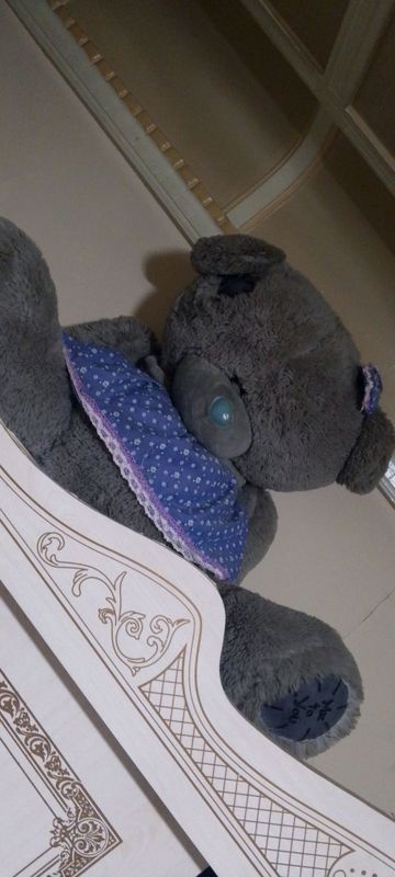Teddy Teddy