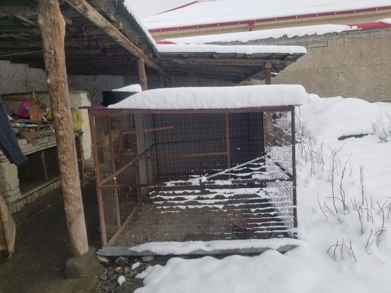 Kafolati bilan sotiladi Kafolati bilan sotiladi