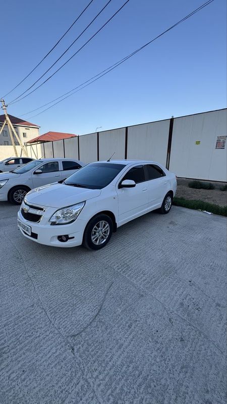 Cobalt stayl 2024 Cobalt stayl 2024