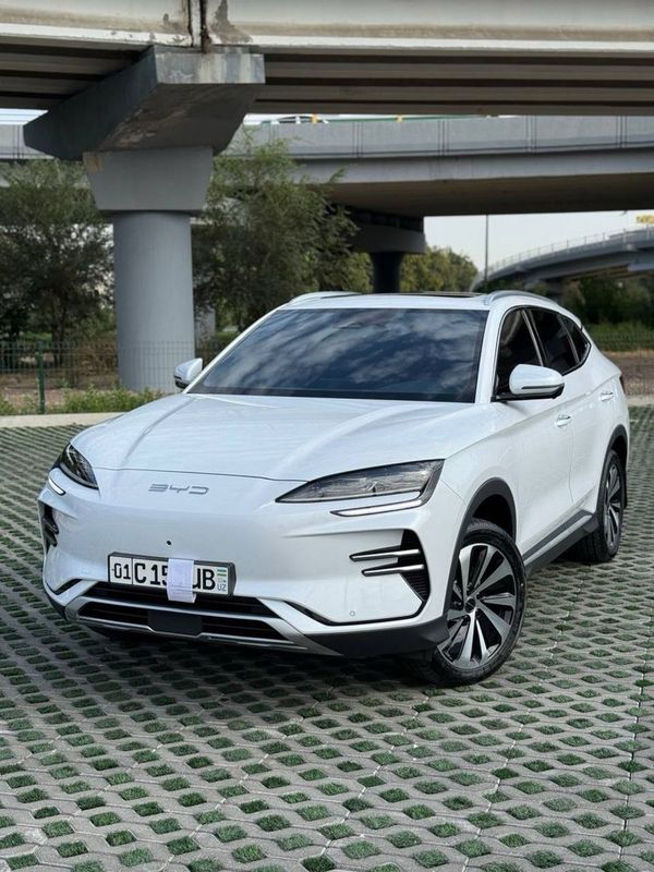 BYD champion 605 EV Full 2024