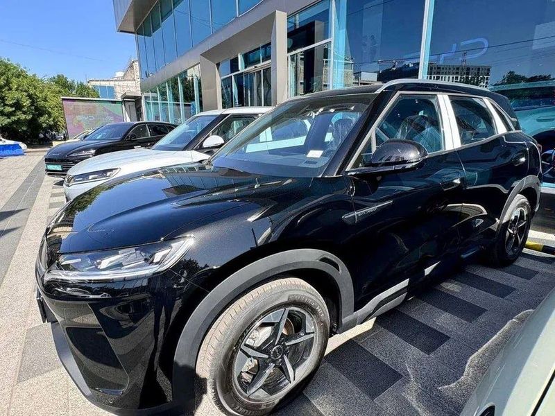 Нотариус BYD yuan up 2025 Нотариус BYD yuan up 2025
