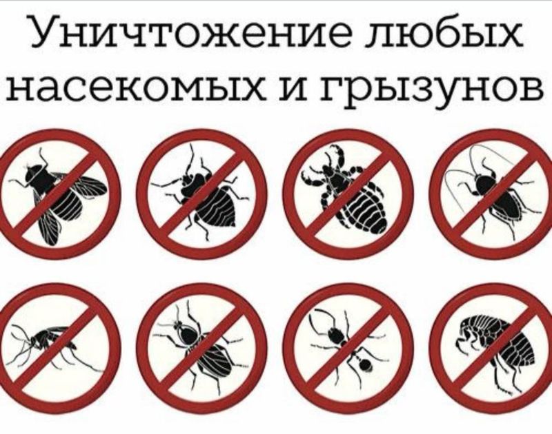 Скидка 10% Дезенфекция дизенфекция дезинфекция дизинфекция dizinfeksiy Скидка 10% Дезенфекция дизенфекция дезинфекция дизинфекция dizinfeksiy