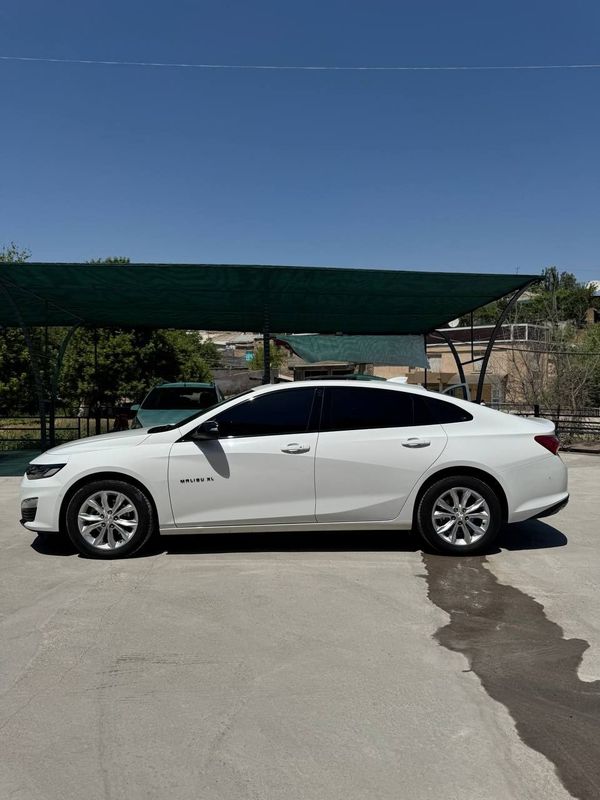 Malibu 2 , 2023 Tozza Malibu 2 , 2023 Tozza