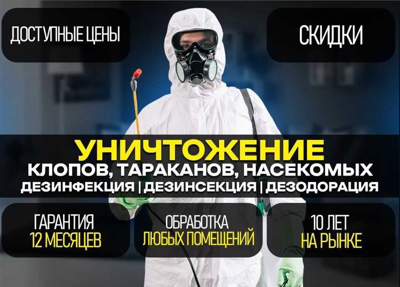 Уничтожение крыс, мышей и ос, дезинсекция | dezinfeksiya sichqon Уничтожение крыс, мышей и ос, дезинсекция | dezinfeksiya sichqon
