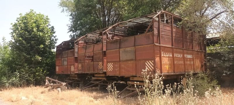 Апалон тилечка самон учун Апалон тилечка самон учун