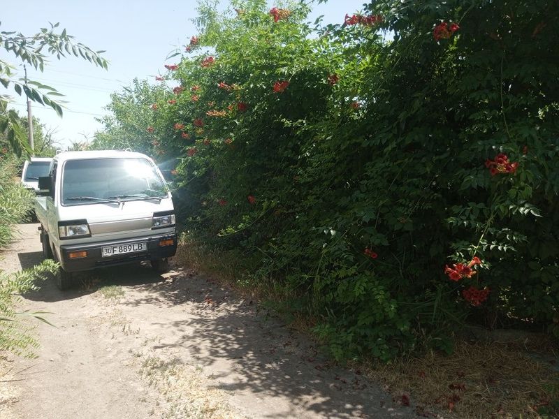 Вывоз мусора musir Вывоз мусора musir
