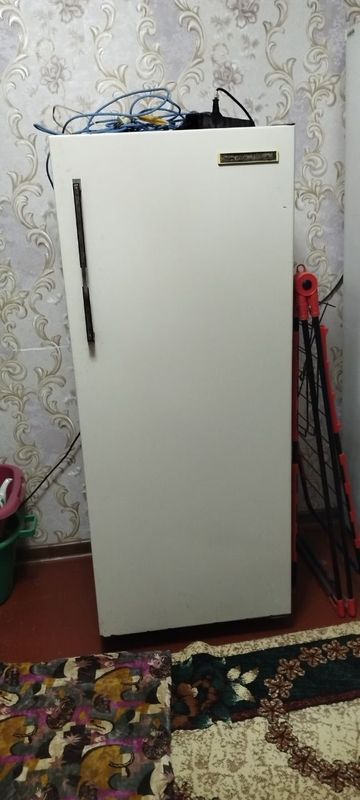 Холодильник российский