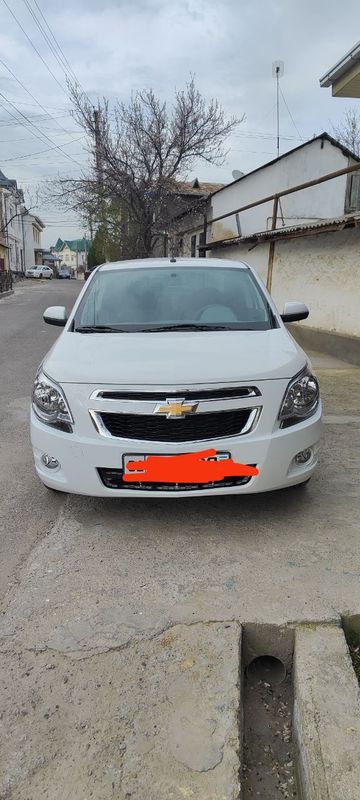 Cobolt 2024 propeg 42 ming yurgan kraska toza, Cobolt 2024 propeg 42 ming yurgan kraska toza,