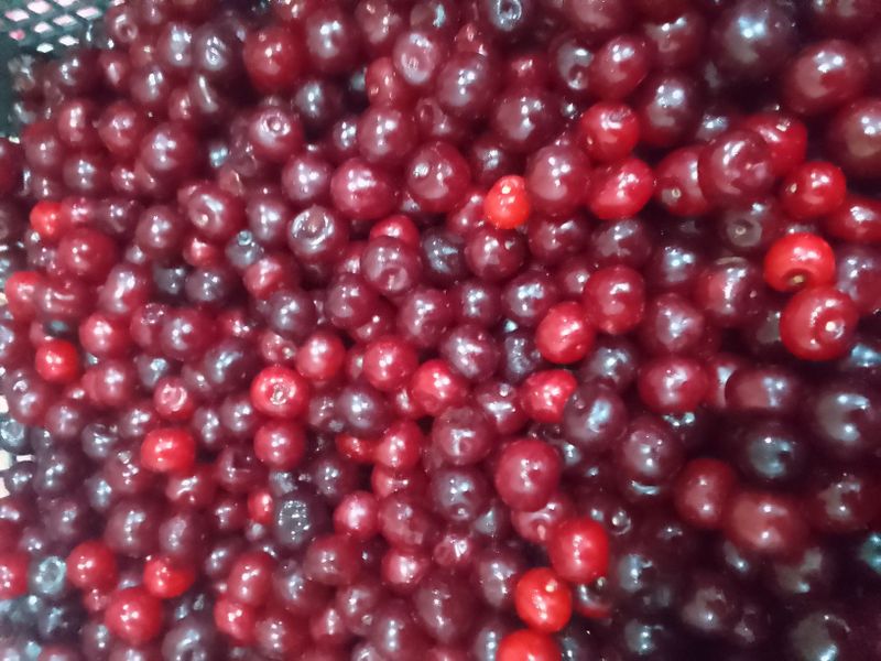 Вишня без косточки замароженый Вишня без косточки замароженый