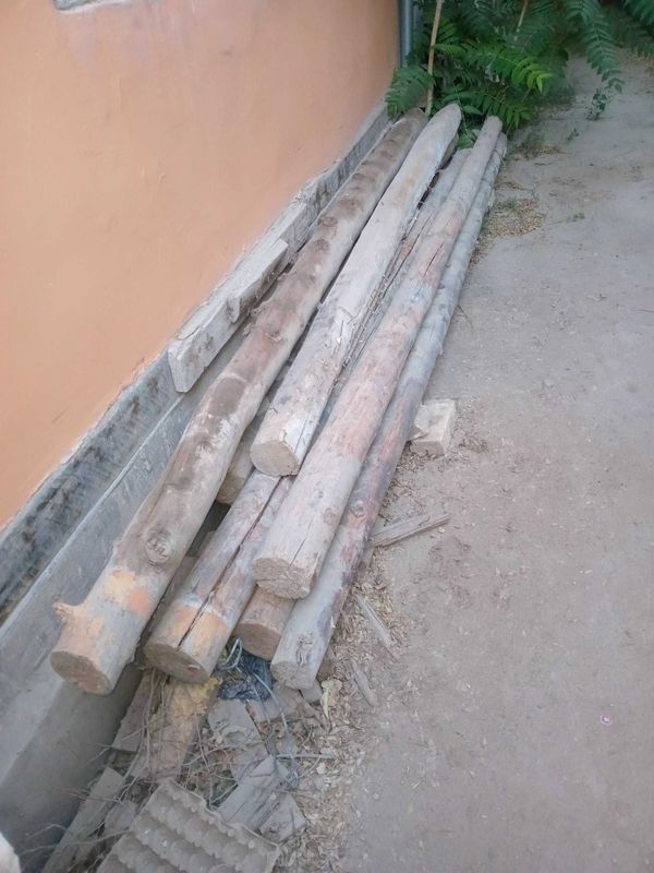 Bolor 4 metrlik . Bolor 4 metrlik .