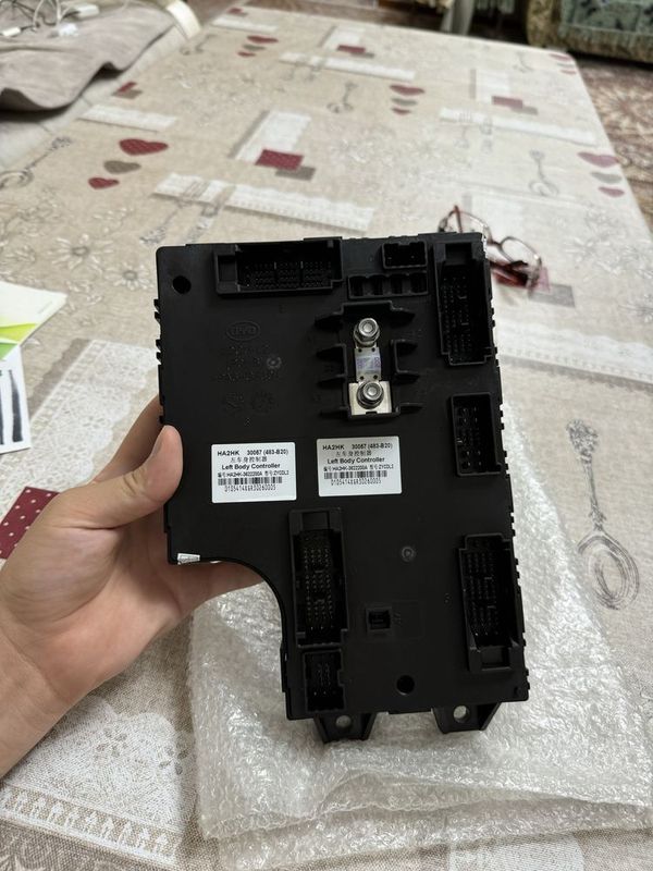 BYD Chazor Left Body Controller