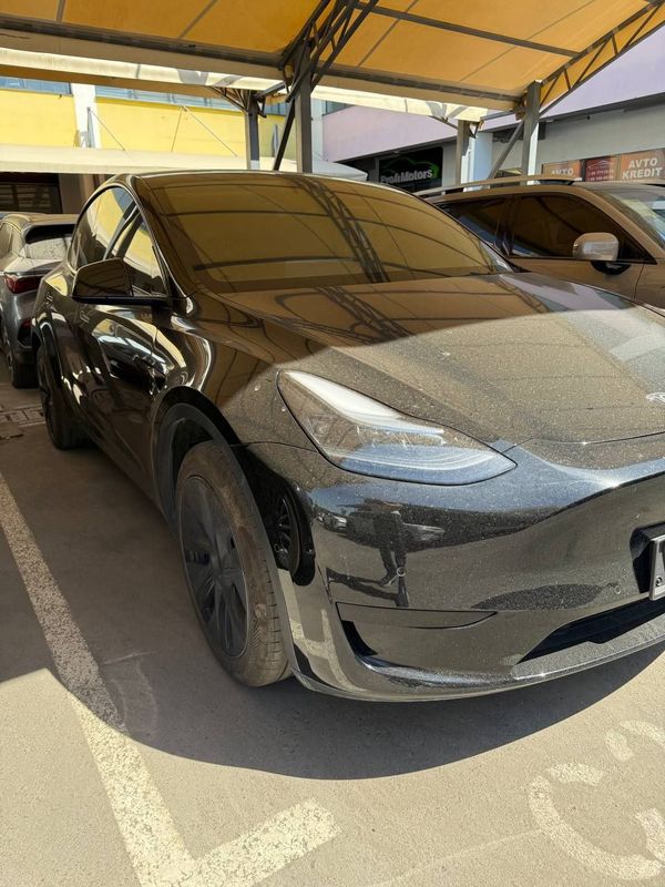 Tesla y model elektr Tesla y model elektr
