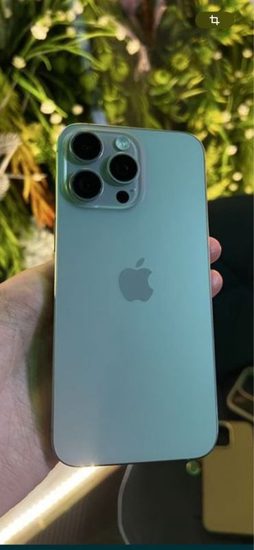 iPhone 15pro max