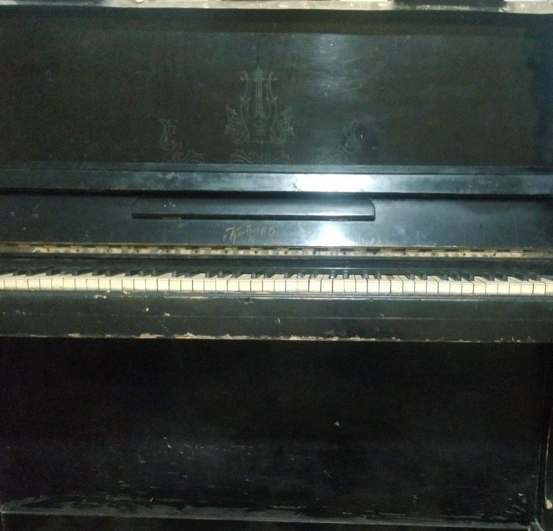 Fortepiano X bu aynan siz uchun