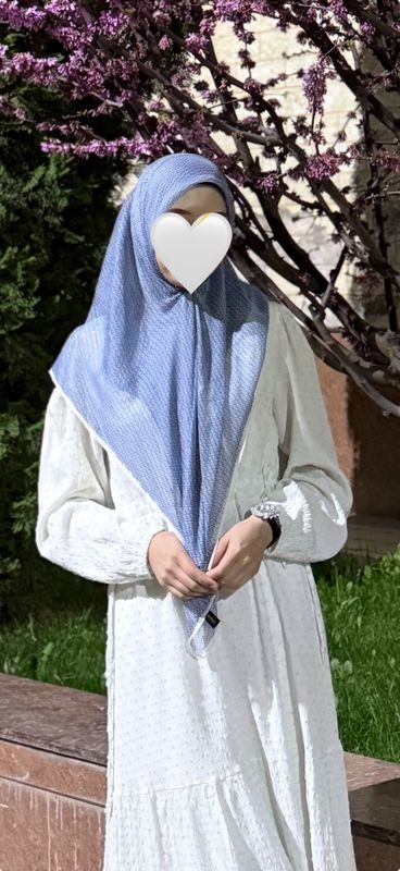 Koylak Koylak