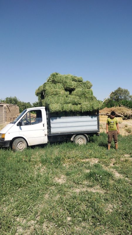 Ford sotiladi dakumentlari joyida