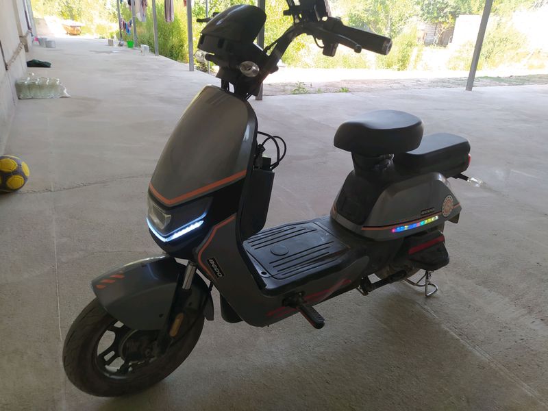 Bodo Skuter Bodo Skuter