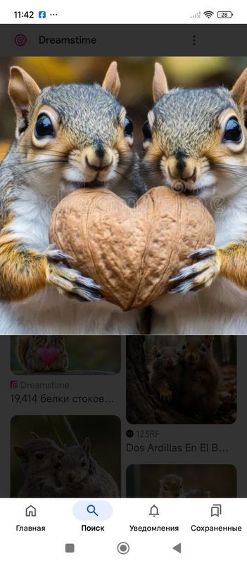 Продаётся пара белок Продаётся пара белок
