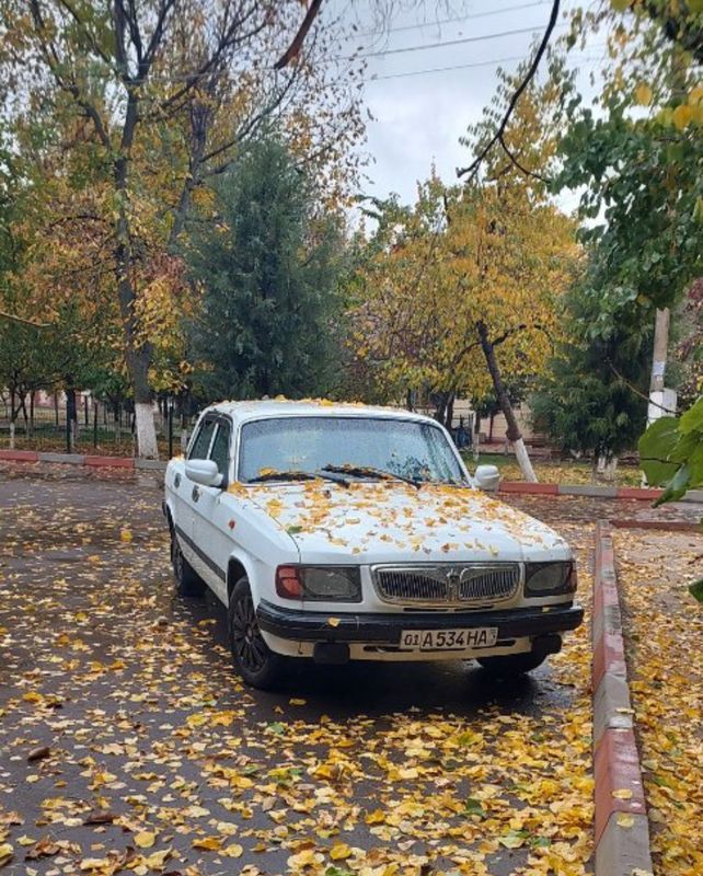 Продаётся Волга Газ 3110