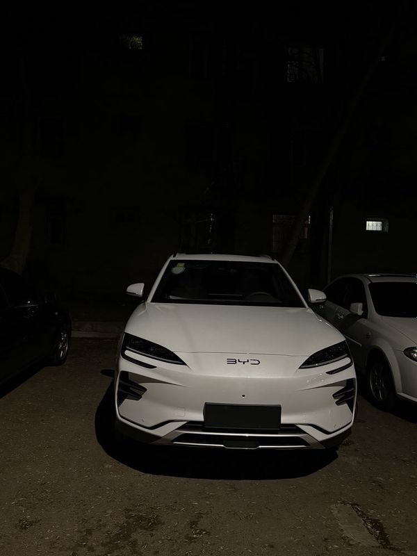 BYD Chempion Restaylin BYD Chempion Restaylin